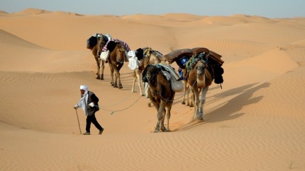 Caravana en el desierto, Túnez